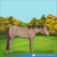 Horse Color:Classic Champagne 