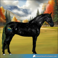 Horse Color:ERROR: UNKNOWN ANOMALY
