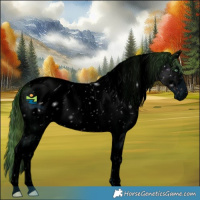 Horse Color:ERROR: UNKNOWN ANOMALY