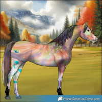 Horse Color:ERROR: UNKNOWN ANOMALY