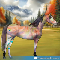 Horse Color:ERROR: UNKNOWN ANOMALY