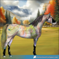 Horse Color:ERROR: UNKNOWN ANOMALY