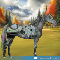 Horse Color:ERROR: UNKNOWN ANOMALY