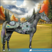 Horse Color:ERROR: UNKNOWN ANOMALY