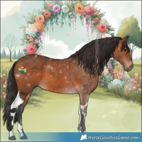 Horse Color:Bay Tobiano 