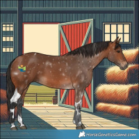 Horse Color:Bay Tobiano 