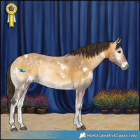 Horse Color:White Spotted Buckskin Ice Onyx Rabicano 