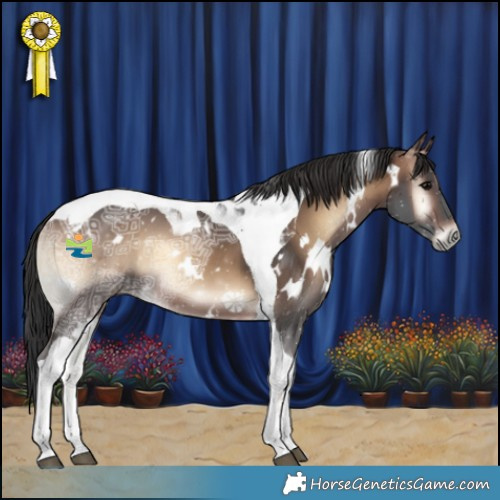 Horse Color:White Spotted Brown Ice Onyx Tobiano 