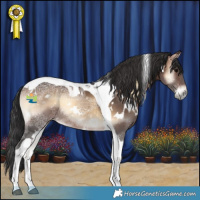 Horse Color:White Spotted Brown Ice Onyx Tobiano 