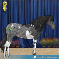 Horse Color:Brown Ice Tobiano 