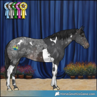Horse Color:Brown Ice Tobiano 