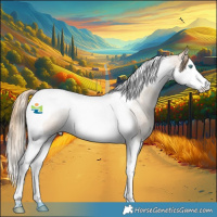 Horse Color:Perlino Roan Splash Tobiano