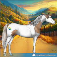 Horse Color:Chocolate Palomino Roan Splash Tobiano 