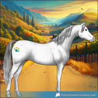Horse Color:Buckskin Mushroom Sabino Splash 