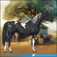 Horse Color:Black Tobiano 