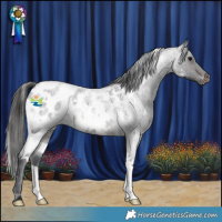 Horse Color:White Spotted Brown Roan Blanket Rabicano 