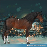 Horse Color:Liver Chestnut Sabino Tobiano 