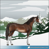 Horse Color:White Spotted Liver Chestnut 