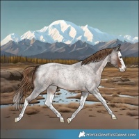 Horse Color:White Spotted Liver Red Roan Splash 