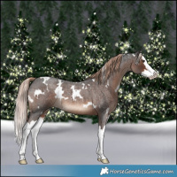 Horse Color:White Spotted Liver Red Roan Splash 
