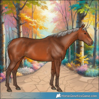 Horse Color:Silver Bay 