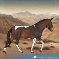 Horse Color:Brown Tobiano 