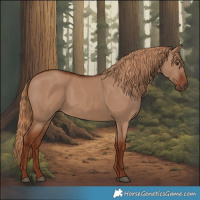 Horse Color:Red Dun 