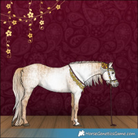 Horse Color:Gray Red Dun  and Gray Gold Champagne Dun 