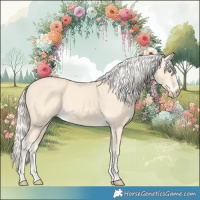 Horse Color:Cremello 