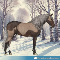 Horse Color:Classic Champagne  and Silver Brown 