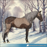 Horse Color:Classic Champagne  and Silver Brown 