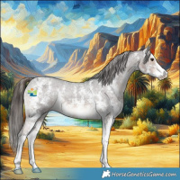 Horse Color:Liver Chestnut Sabino Varnish 