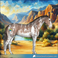 Horse Color:Liver Chestnut Sabino 