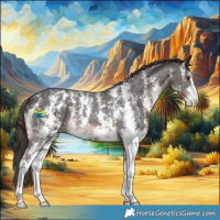 Horse Color:Liver Chestnut Sabino Varnish 