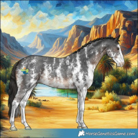 Horse Color:Liver Chestnut Sabino 