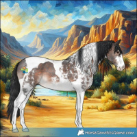 Horse Color:Brown Mushroom Sabino Tobiano 