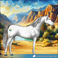 Horse Color:Liver Chestnut Sabino 