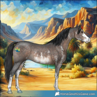 Horse Color:Brown Sabino