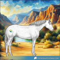 Horse Color:Liver Chestnut Mushroom Sabino 