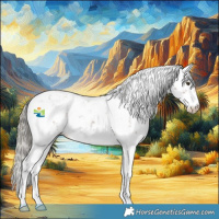 Horse Color:Liver Chestnut Mushroom Sabino 