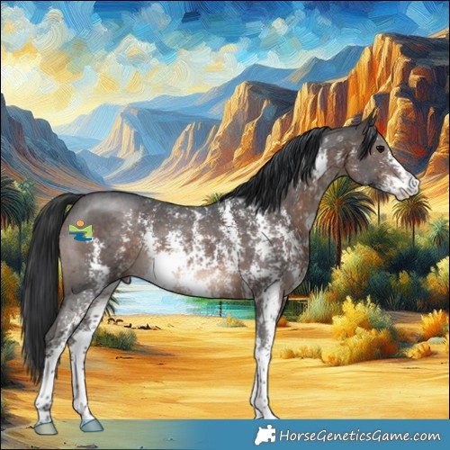 Horse Color:Brown Sabino 