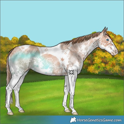 Horse Color:Gold Champagne Ice Splash Tobiano 