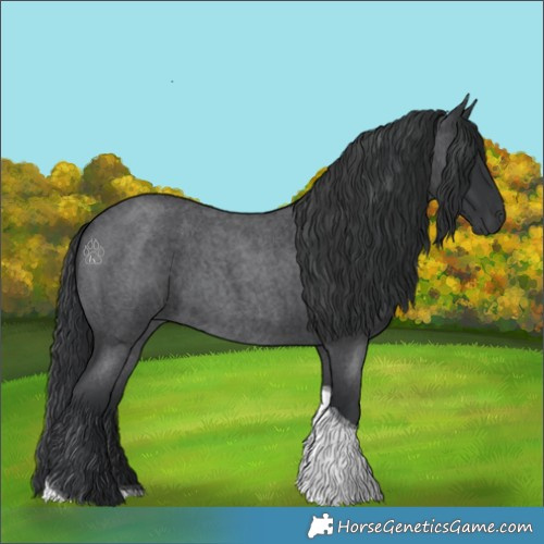 Horse Color:Blue Roan Tobiano 