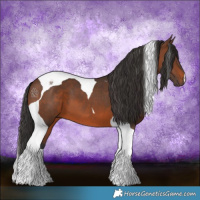 Horse Color:Brown Tobiano 