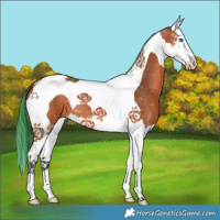 Horse Color:Painted Bay Splash Tobiano 
