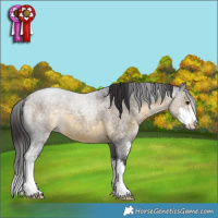 Horse Color:Buckskin Roan Sabino 