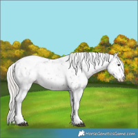 Horse Color:Silver Brown Sabino 