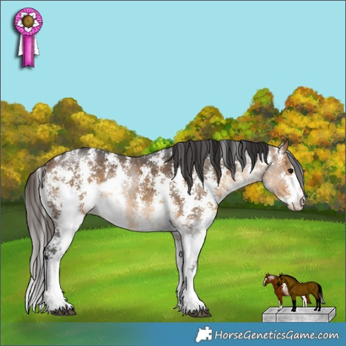 Horse Color:Buckskin Sabino 