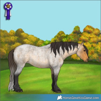 Horse Color:Buckskin Roan 