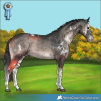 Horse Color:White Spotted Blue Onyx Splash
